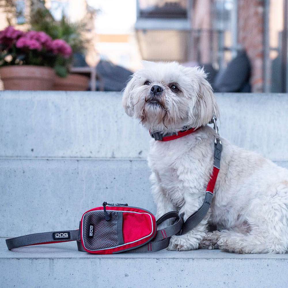 DOG Copenhagen Urban Trail Dog Leash (Black)